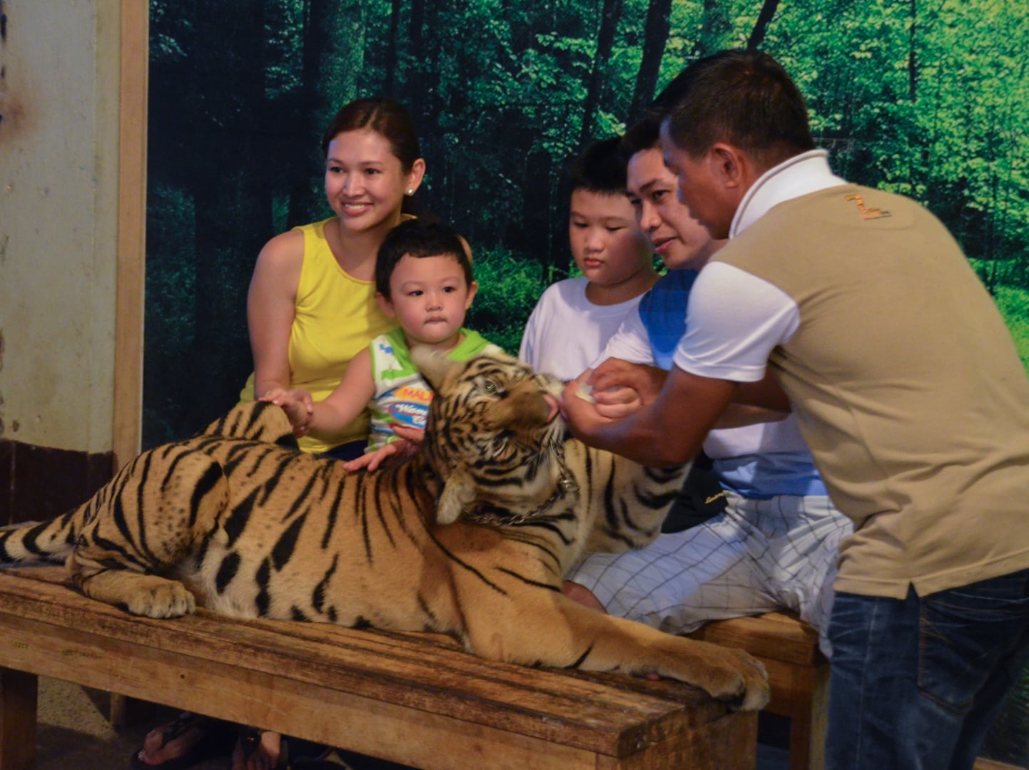 Photo de mon voyage aux Philippines - Zoo de Subic et Subic 5